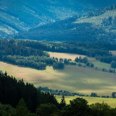 Penzion U Skoly Stare Mesto  Exterior photo