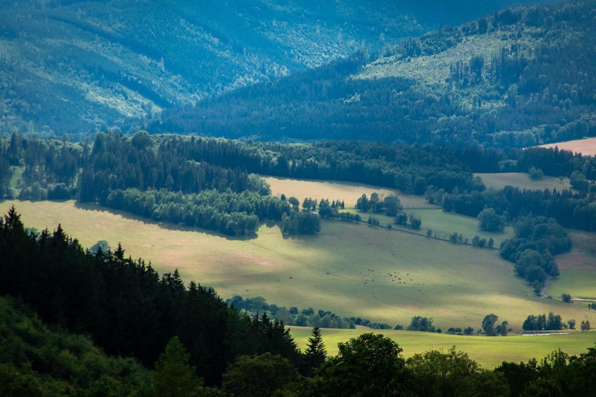 Penzion U Skoly Stare Mesto  Exterior photo